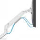 NEOMOUNTS DS70-250WH1 FULL MOTION MONITOR ARM DESK MOUNT FOR 17-35" SCREENS - WHITE