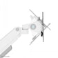 NEOMOUNTS DS70-250WH1 FULL MOTION MONITOR ARM DESK MOUNT FOR 17-35" SCREENS - WHITE
