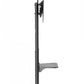 NEOMOUNTS BY NEWSTAR MOBILE FLOOR STAND INCL. AV- AND CAM SHELF (HEIGHT ADJUSTABLE: 128,5-145 CM)