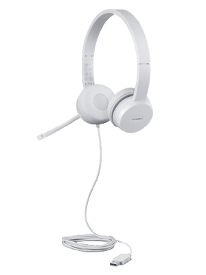 LENOVO 110 STEREO USB HEADSET_