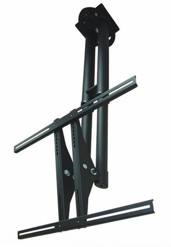 NEWSTAR FLAT SCREEN CEILING MOUNT (HEIGHT: 64-104 CM) 37-75" BLACK