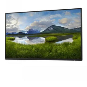 DELL 24 PRO P2425H FHD IPS 16:9 USBC-15W - NO STAND