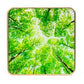 SMART HOME AIR QUALITY SENSOR/GOLD/TREE AIRV-TREE AIRVALENT