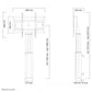NEWSTAR MOTORISED FLOOR STAND/WALL MOUNT - VESA 200X200 UP TO 800X600 42-100" BLACK