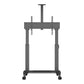 MB Motorized Public Floorstand Dual