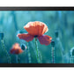 DISPLAY LCD 13" QB13C/LH13QBCEBGBXEN SAMSUNG