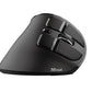 MOUSE USB OPTICAL ERGONOMIC/VOXX 23731 TRUST