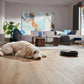 VACUUM CLEANER ROBOT/XU7000/01 PHILIPS
