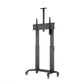 M MOTORIZED PUBLIC FLOORSTAND DUAL PILLAR 180 HD