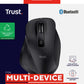MOUSE USB OPTICAL WRL/FYDA 25708 TRUST