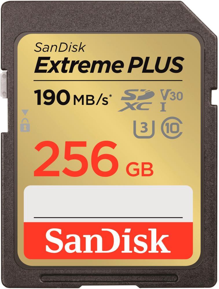 MEMORY SDXC 256GB UHS-1/SDSDXWV-256G-GNCIN SANDISK