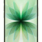 MOBILE PHONE IPHONE 17/256GB SAGE MG6N4 APPLE