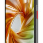 MOBILE PHONE FOCUS 2 5G/8/256GB BLACK NUBIA