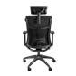 Genesis Ergonomic Chair Astat 200 Base material Nylon; Castors material: Nylon with CareGlide coating | Black
