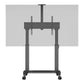 MB Motorized Public Floorstand Dual