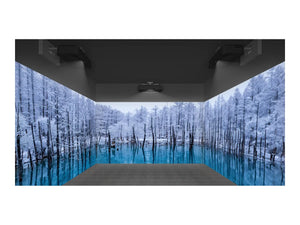 Epson | EB-815E | Full HD (1920x1080) | 5000 ANSI lumens | Black