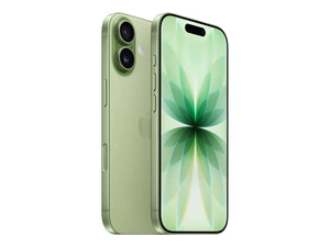 Apple | iPhone 17 | Sage | 6.3 " | 2622 x 1206 pixels | OLED | A19 | Internal RAM 8 GB | 256 GB | Dual SIM | Nano SIM | 5G | Main camera resolution 48 MP | iOS 26 | Secondary camera resolution 48 MP