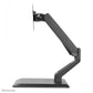 NEWSTAR FLAT SCREEN DESK MOUNT (STAND)  15-32" BLACK