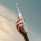 Philips Electric Toothbrush | HX7119/02 Sonicare Series 6100 | Rechargeable | For adults | Number of brush heads included 1 | Number of teeth brushing modes 2 | White
