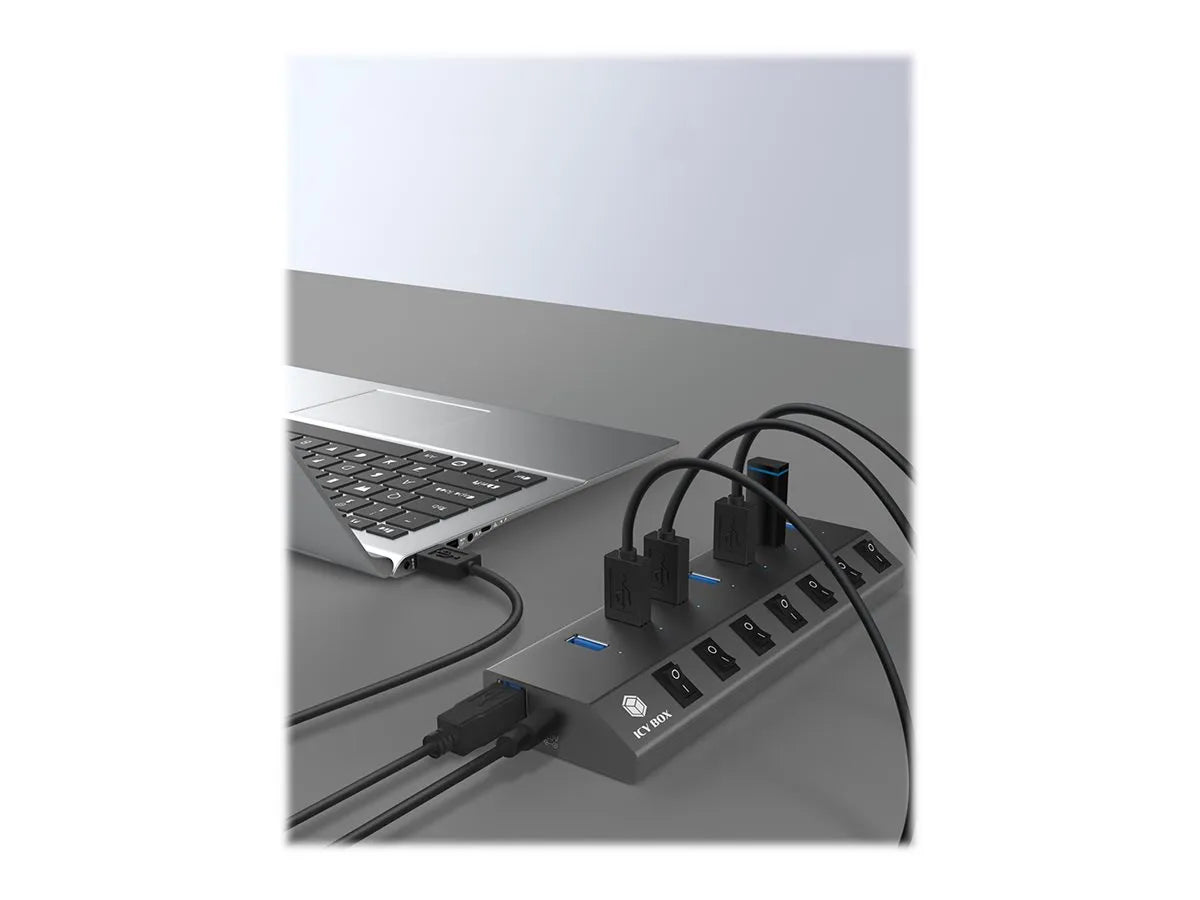 ICY BOX IB-HUB1701-C3 7-port hub