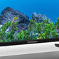 TV Set|THOMSON|50 "|4K Ultra HD|3840 x 2160 pixels|Flat|16:9|LED|50UG5X15