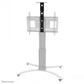 NEOMOUNTS BY NEWSTAR CAMERA SHELF FOR PLASMA-M2500/W2500-SERIES