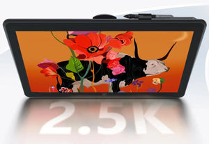 GRAPHIC TABLET 475.392X267.408/ARTIST PRO 22 (GEN 2) XPPEN