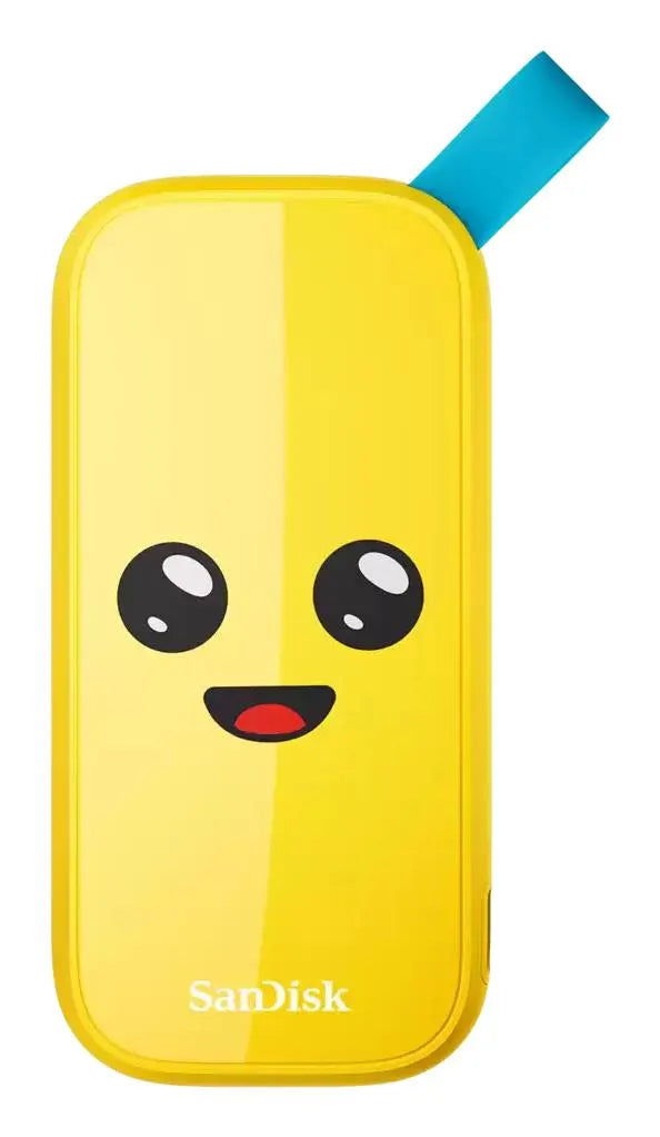 External SSD|SANDISK|2TB|USB 3.2|Read speed 800 MBytes/sec|SDSSDE30-2T00-G25F