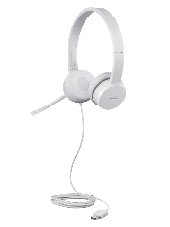 LENOVO 110 STEREO USB HEADSET_